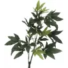 EUROPALMS pachira árbol del dinero artificial, 160cm 82600165