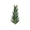 EUROPALMS hoja de palmera cocotera artificial, 150 cm 82509845
