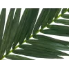 EUROPALMS hoja de palmera cocotera artificial, 150 cm 82509845