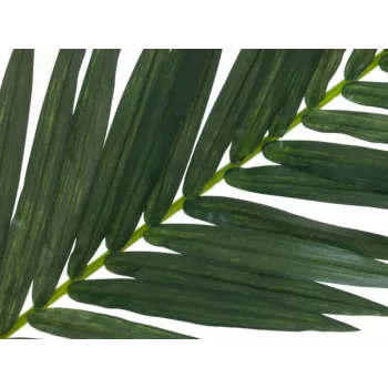 EUROPALMS hoja de palmera cocotera artificial, 150 cm 82509845