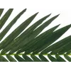 EUROPALMS hoja de palmera cocotera artificial, 150 cm 82509845