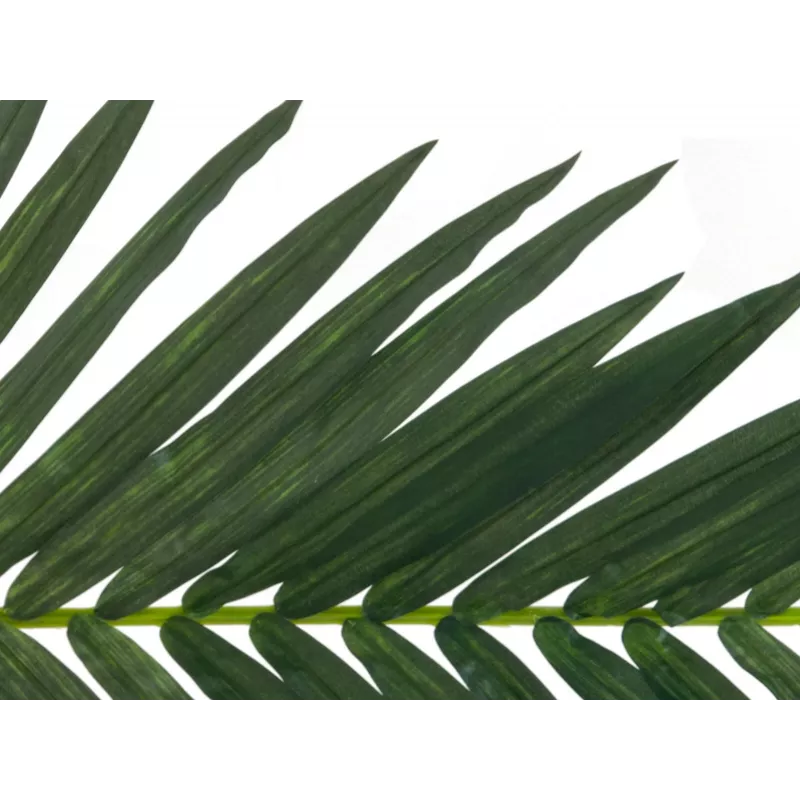 EUROPALMS hoja de palmera cocotera artificial, 150 cm 82509845