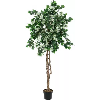 EUROPALMS buganvilla planta artificial, blanca, 150cm 82507085