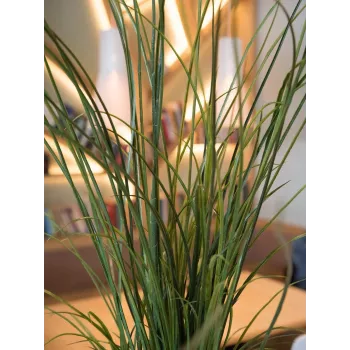EUROPALMS hierba de caña artificial, 145cm, verde/marrón, en maceta 82600229