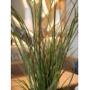 EUROPALMS hierba de caña artificial, 145cm, verde/marrón, en maceta 82600229