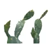 EUROPALMS Planta artificial cactus de hoja, 76 cm, en maceta, verde 82600064