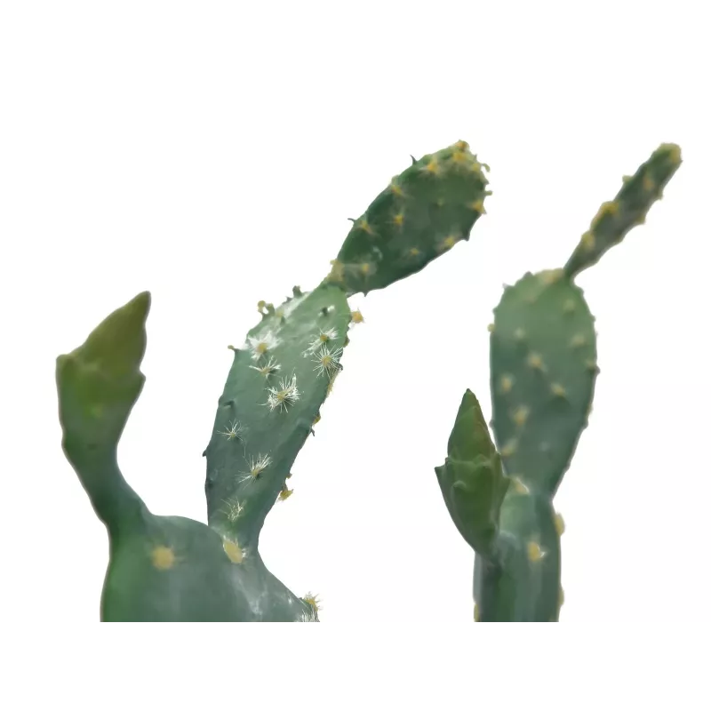 EUROPALMS Planta artificial cactus de hoja, 76 cm, en maceta, verde 82600064