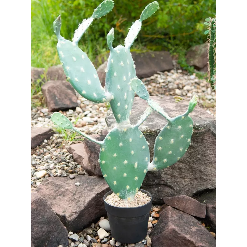 EUROPALMS Planta artificial cactus de hoja, 76 cm, en maceta, verde 82600064
