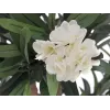 EUROPALMS Adelfa, planta artificial, blanca, 120 cm (82507246)