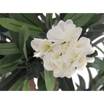 EUROPALMS Adelfa, planta artificial, blanca, 120 cm (82507246)