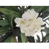 EUROPALMS Adelfa, planta artificial, blanca, 120 cm (82507246)
