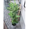 EUROPALMS Planta artificial Dieffenbachia 120cm 82508306