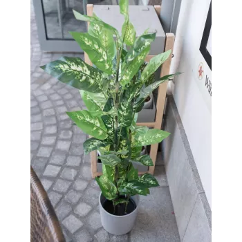 EUROPALMS Planta artificial Dieffenbachia 120cm 82508306