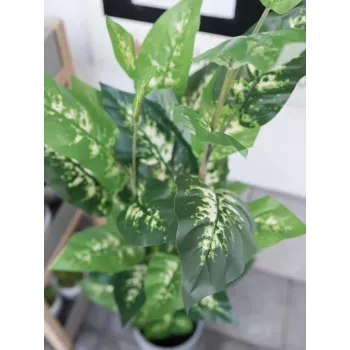 EUROPALMS Planta artificial Dieffenbachia 120cm 82508306