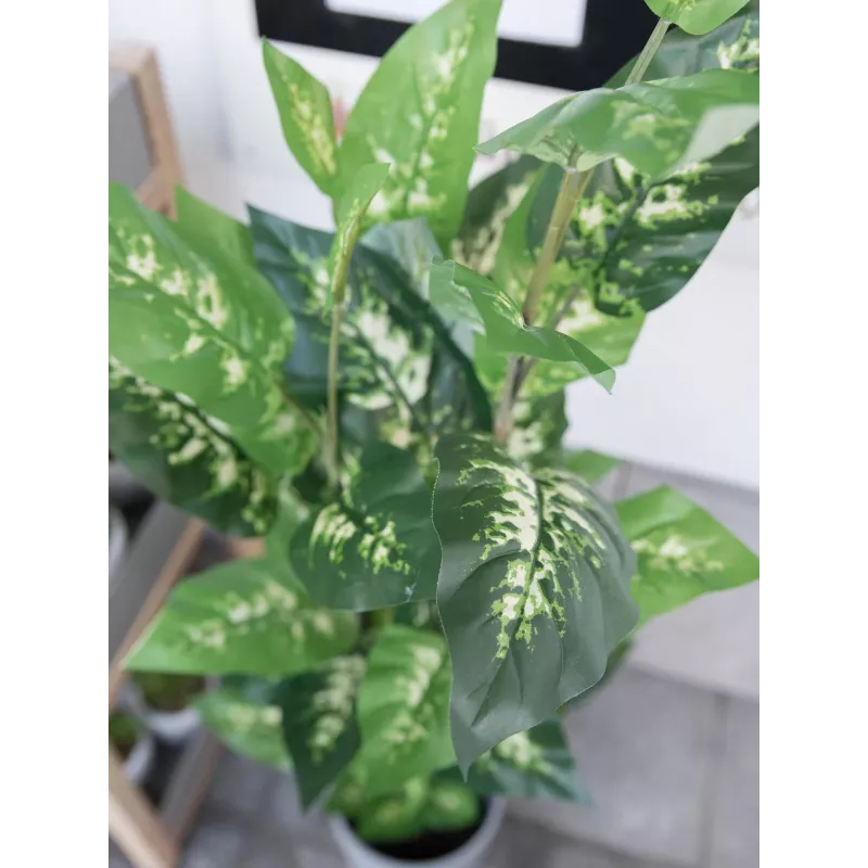 EUROPALMS Planta artificial Dieffenbachia 120cm 82508306