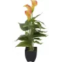 EUROPALMS Planta artificial Calla mini, amarillo-naranja, 43 cm 82540346