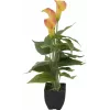 EUROPALMS Planta artificial Calla mini, amarillo-naranja, 43 cm 82540346