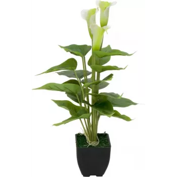 EUROPALMS Calla mini Planta artificial de cala, blanca, 43 cm 82540347