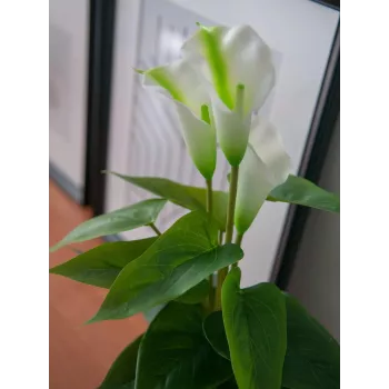 EUROPALMS Calla mini Planta artificial de cala, blanca, 43 cm 82540347