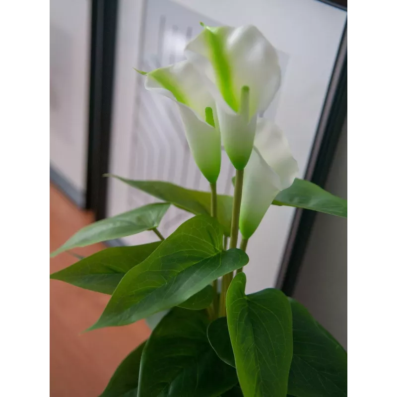 EUROPALMS Calla mini Planta artificial de cala, blanca, 43 cm 82540347