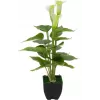 EUROPALMS Calla mini Planta artificial de cala, blanca, 43 cm 82540347