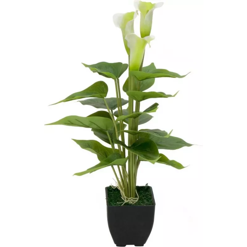 EUROPALMS Calla mini Planta artificial de cala, blanca, 43 cm 82540347