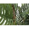 EUROPALMS Planta artificial Palmera Kentia 140cm 82511361