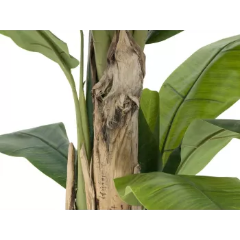 EUROPALMS Plátano artificial, 170cm, hojas verdes, maceta negra 82509539