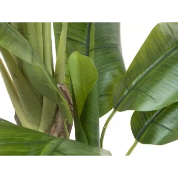 EUROPALMS Plátano artificial, 170cm, hojas verdes, maceta negra 82509539