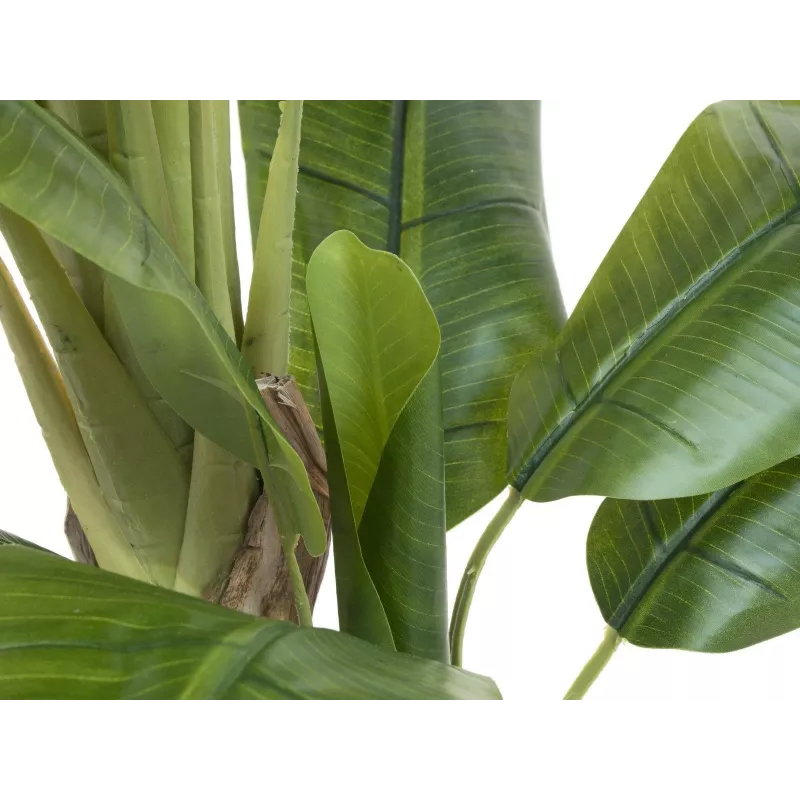 EUROPALMS Plátano artificial, 170cm, hojas verdes, maceta negra 82509539