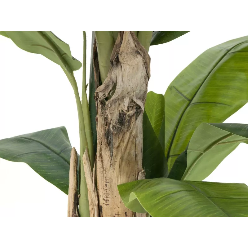 EUROPALMS Plátano artificial, 170cm, hojas verdes, maceta negra 82509539