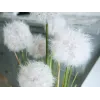EUROPALMS Flor artificial de diente de león, 107cm, blanca 82600133