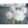 EUROPALMS Flor artificial de diente de león, 107cm, blanca 82600133