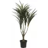 EUROPALMS Planta artificial Dracaena, verde-roja, 90cm 82505778