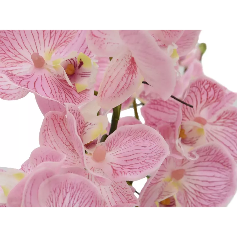 EUROPALMS Arreglo de orquídeas (EVA), artificial, violeta (82530339)