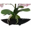 EUROPALMS Arreglo de orquídeas (EVA), artificial, violeta (82530339)