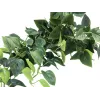 EUROPALMS Pothos Busch-Sichtschutz Classic, artificial, 100 cm 82502203