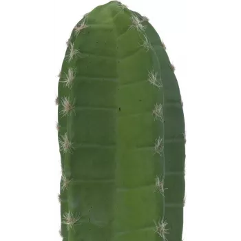 EUROPALMS Cactus mexicano planta artificial, verde, 97 cm 82801070