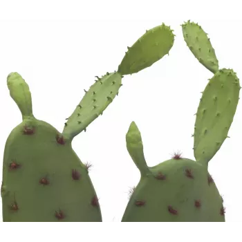EUROPALMS Cactus de hoja planta artificial, 75 cm 82600068