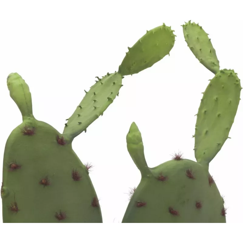 EUROPALMS Cactus de hoja planta artificial, 75 cm 82600068