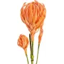 EUROPALMS rama de dalia artificial (EVA), naranja 82530582