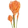 EUROPALMS rama de dalia artificial (EVA), naranja 82530582