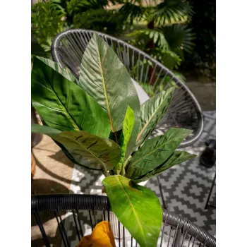 EUROPALMS Arbusto de acelga artificial, 45 cm, verde 82508302