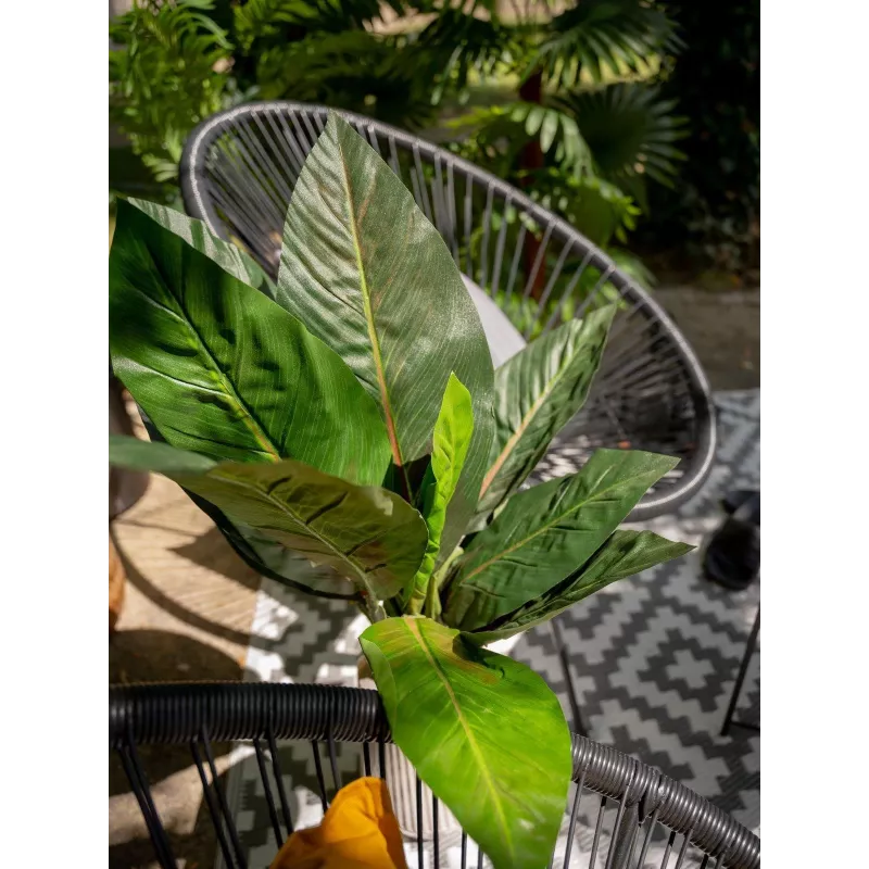 EUROPALMS Arbusto de acelga artificial, 45 cm, verde 82508302
