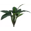 EUROPALMS Arbusto de acelga artificial, 45 cm, verde 82508302