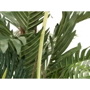EUROPALMS Palmera kentia planta artificial 180 cm 82511367