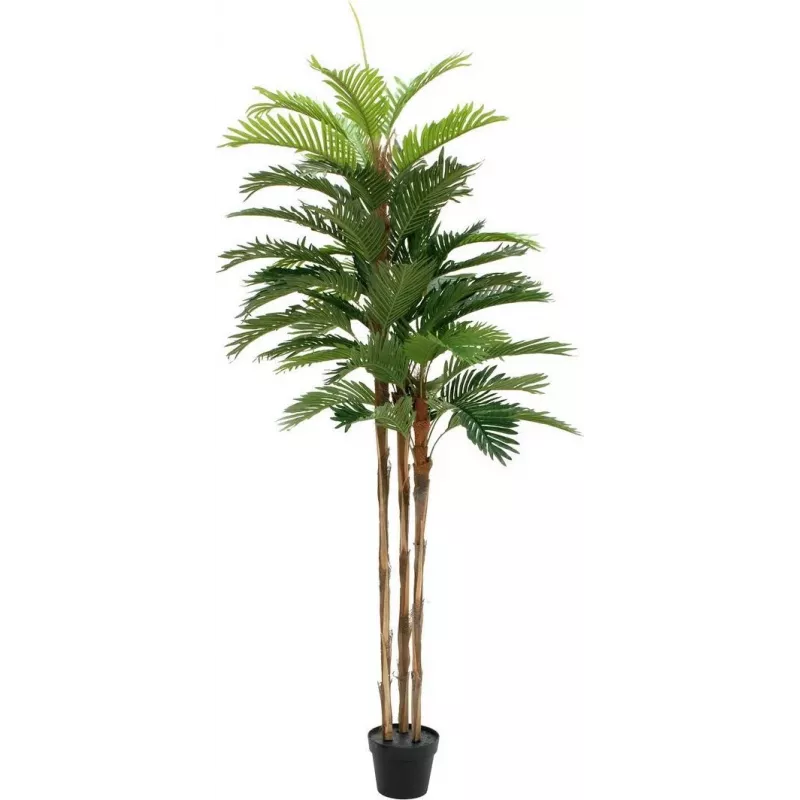 EUROPALMS Palmera kentia planta artificial 180 cm 82511367