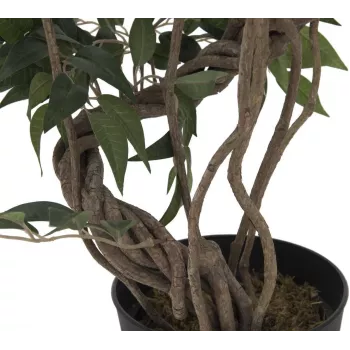 EUROPALMS Ficus Multi Spiral Trunk planta artificial, 130 cm 82806314