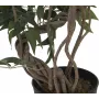EUROPALMS Ficus Multi Spiral Trunk planta artificial, 130 cm 82806314