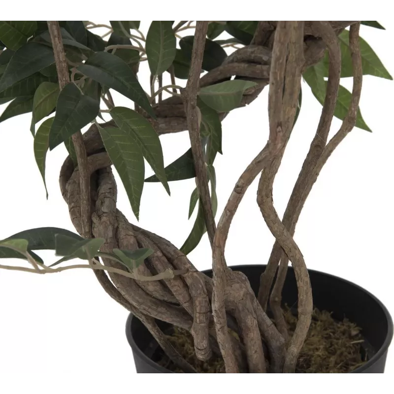 EUROPALMS Ficus Multi Spiral Trunk planta artificial, 130 cm 82806314